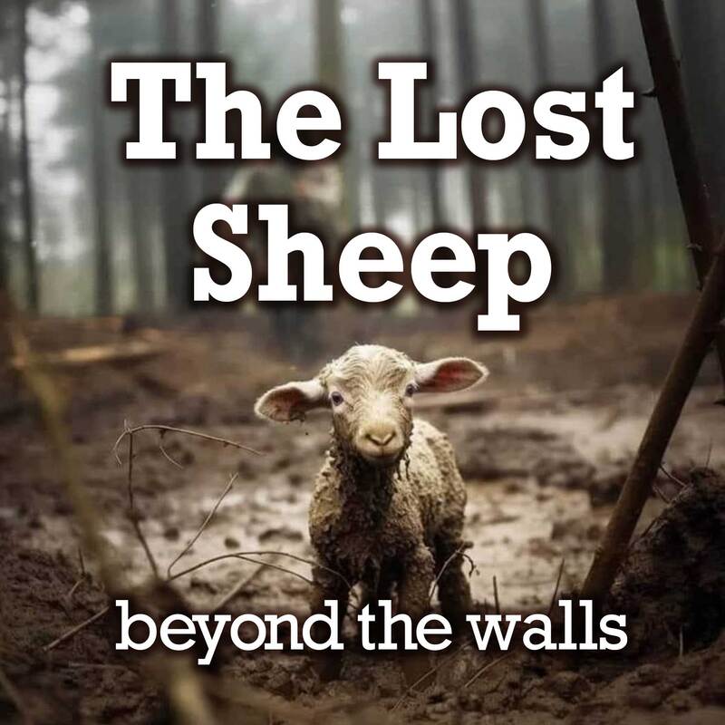 JUNE 2 - THE LOST SHEEP